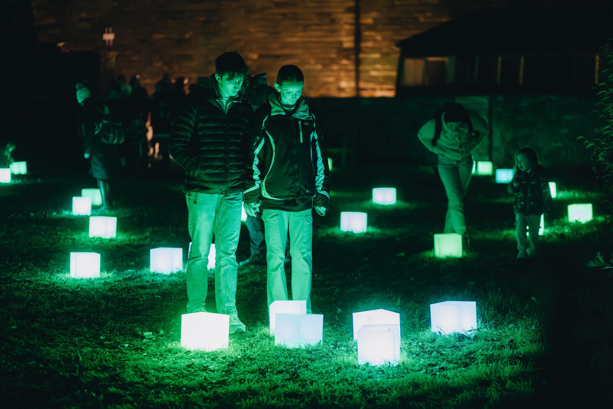 Selby Light — York Mediale